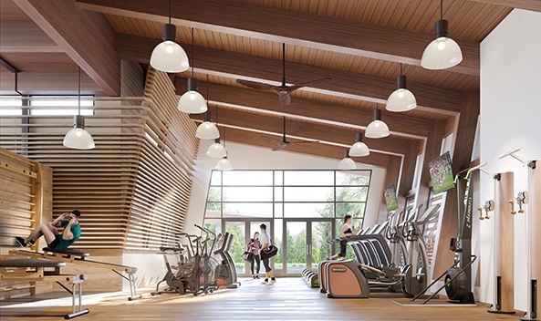 Gallery thumb 593x352